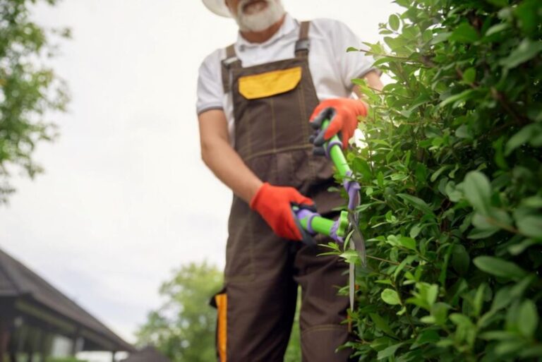 Hedge Trimming