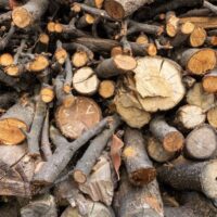 Firewood Bags vs. Loose Firewood: Which is More Cost-Effective?