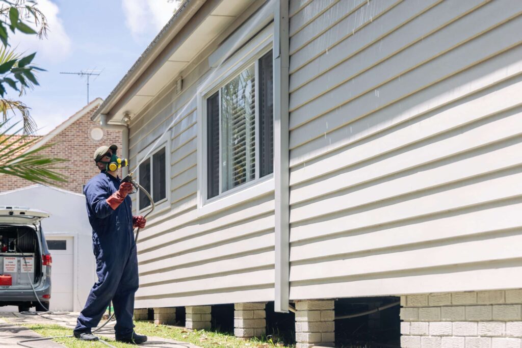 How Termite Removal Services Work in Sydney Homes