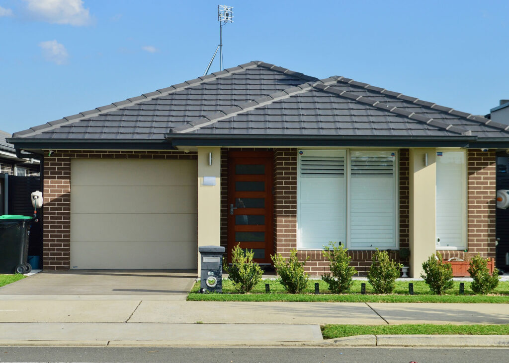 How Termite Removal Services Work in Sydney Homes