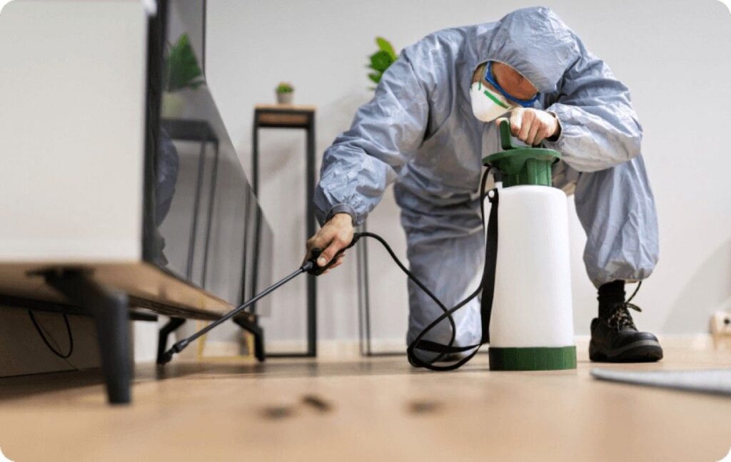 pest control Croydon